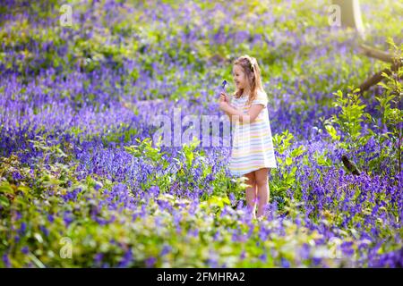 Kids playing in bluebell woods. Children watching protected plants in  bluebell flower woodland on sunny spring day. Boy and girl in blue bell  flowers Stock Photo - Alamy