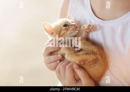 Child holding baby cat. Kids and pets. Little girl hugging cute little kitten in summer garden. Domestic animal in family with kids. Stock Photo