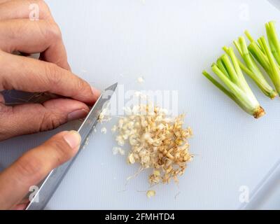 Woman hand cutting coriander root on a white plastic cutting board with a kitchen knife and small pieces of coriander root, preparation for cook. Stock Photo