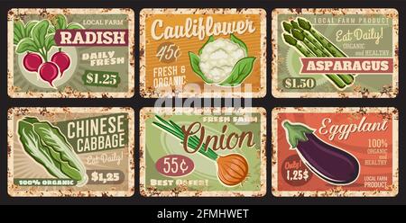 Vegetables rusty metal plates, vector price tags. Farm veggies organic radish, cauliflower, asparagus and chinese cabbage with onion and eggplant reta Stock Vector