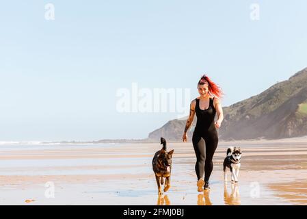 Female athlete strolling on sandy wet beach shore with German Shepherd and Siberian Husky against ocean Stock Photo