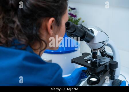 Back view of female vet in blue uniform looking through microscope while working in lab Stock Photo