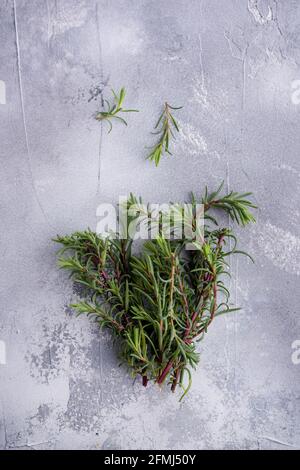 Top view of aromatic rosemary sprigs on rugged surface with spots Stock Photo