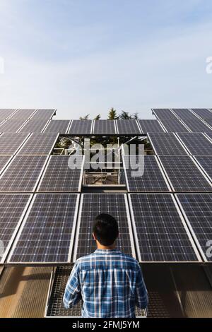 Back view anonymous professional technician wearing checkered shirt checking photovoltaic panels in solar power station on clear sunny weather Stock Photo