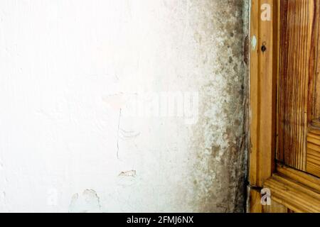 Home mold inspection. Black mold on the wall in the corner of the room. Stock Photo