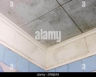 Bathroom ceiling covered with black mold. House inspection. Stock Photo