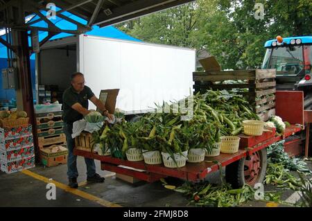 A farmer sells corn on the cob direct from his trailer stall at the farmers market at St Antoine, Montreal, Quebec, August 2007 Stock Photo