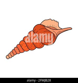 Hand-drawn tibia shell of engraved line. Design element for invitations, greeting cards, posters, banners, flyers and more. Vector illustration Stock Vector