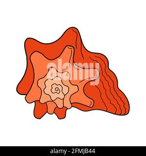 Hand-drawn turban shell of engraved line. Design element for invitations, greeting cards, posters, banners, flyers and more. Vector illustration Stock Vector