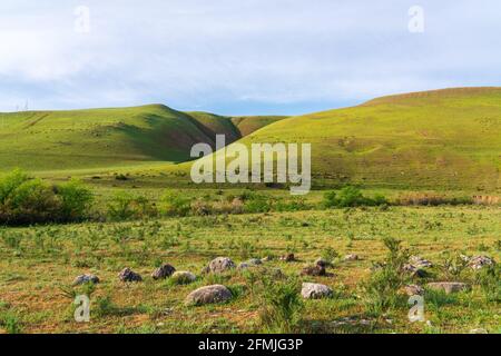 Beautiful green hills summer landscape Stock Photo