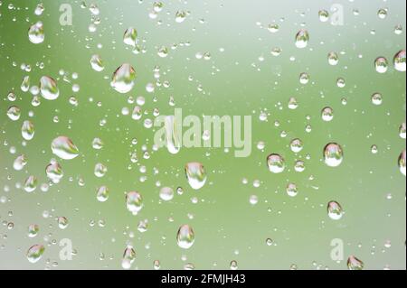 Raindrops on window with green foliage background. Stock Photo