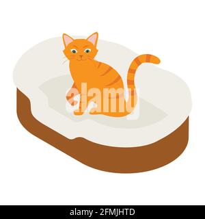 Ginger cat in his soft cozy bed cushion isolated on white background. Isometric view. Vector Stock Vector