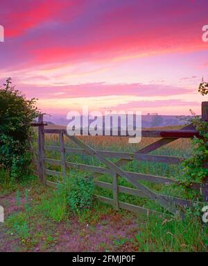 UK, England, Dorset, dawn over field gate, summer, Stock Photo