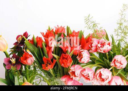 Bright bouquets of tulips, festive spring composition on a white background Stock Photo