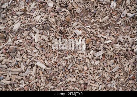 photography of bark mulch as background, format-filling Stock Photo