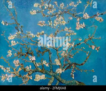 Almond Blossom, Vincent van Gogh, 1890 Stock Photo