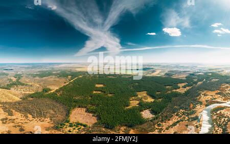 Aerial View Of Deforestation Area Landscape. Green Pine Forest In Deforestation Zone. Top View Of Forest Landscape. Drone View. Bird's Eye View Stock Photo