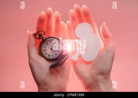 Embryo silhouette from paper and clock in woman hands with light. Pink background. Soft focus. Stock Photo