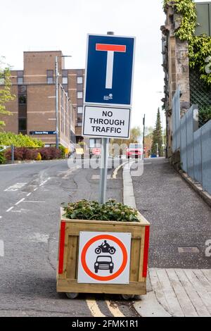 Temporary No Through Traffic sign in a planter box during construction at the University of Strathclyde, Rottenrow, Glasgow, Scotland, UK Stock Photo