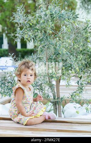Toddler girl sitting next to green olive tree with green olives on wooden floor  Stock Photo