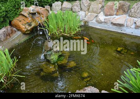 czech republic, karlovy vary, fountain with goldfish Stock Photo