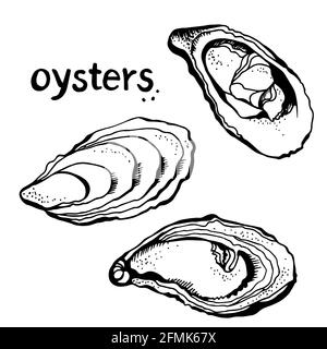 Oysters vector set, hand drawn illustration isolated on a white background Stock Vector