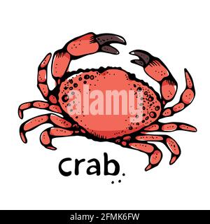 Crab vector illustration, hand drawn sketch, isolated on white background Stock Vector