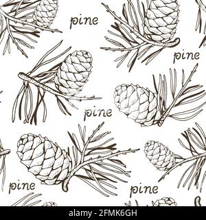 Pine cedar cone with a sprig, vector seamless hand drawn background Stock Vector