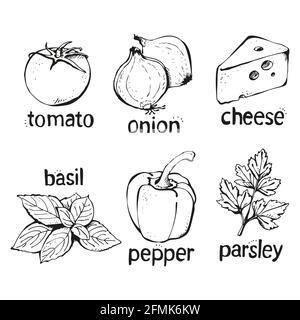 Vector set of ingredients for pizza, tomatoes, cheese, pepper, basil, onion, shrimp isolated on a white background Stock Vector