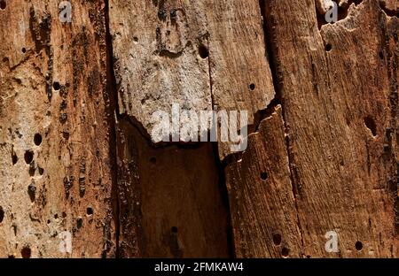 The old wood background Stock Photo