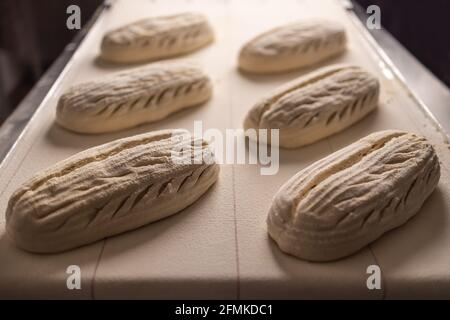 Raw bread. Fresh raw dough in product line Stock Photo