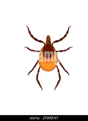 Top view illustration on bed bug cartoon bloodsucking insect design vector illustration isolated on white background Stock Vector