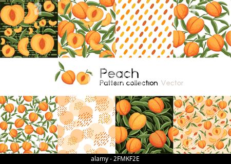 Pattern with seamless patterns collection of whole and sliced peach with leaves or not vector illustration on white background Stock Vector