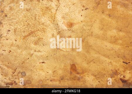 Old parchment leather texture background Stock Photo