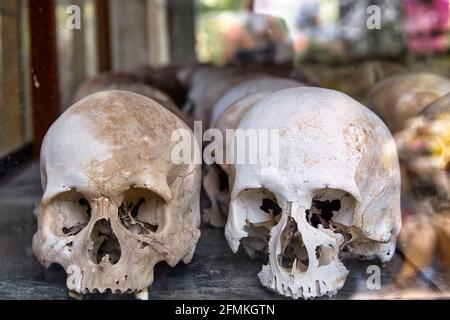 Prisoner Skulls in Choeung Ek War Crimes Genocide Musuem, used by Khmer Rouge Regime as Security Prison. Phnom Penh, Cambodia Stock Photo