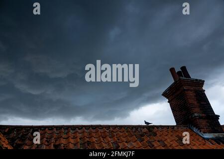 Gathering storm clouds above a chimney and pantile roof with a single pigeon on the ridge Stock Photo