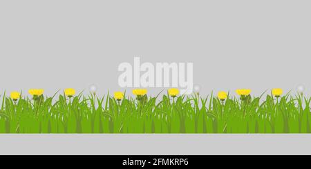 Vector illustration of seamless pattern of grass and dandelions flowers yellow and white on the summer or spring meadow. Isolated on white background. Stock Vector