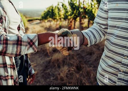 Mixed race make and female colleague shaking hands after successful harvest  Stock Photo