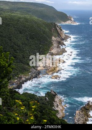 View along the forest covered mountains, cliffs and rocky coastline of the Tsitsikamma coast, in the Garden Route National Park of South Africa Stock Photo