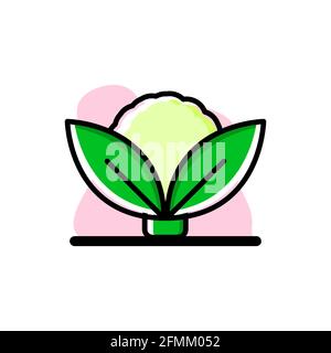 Cauliflower Conceptual Vector Icon Illustration Design eps10 Stock Vector