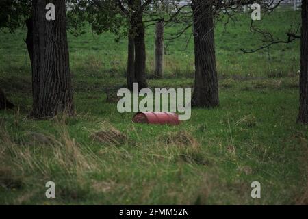 A red barrel sitting in a field Stock Photo