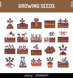 Growing seeds color line icons set. Pictograms for web page, mobile app, promo. UI UX GUI design element. Editable stroke. Stock Vector