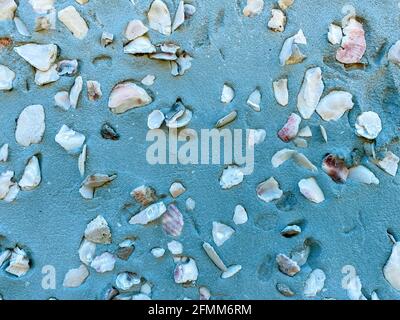 closeup view of concrete stucco blue seawall with embedded ocean shells shot as an industrial scene Stock Photo