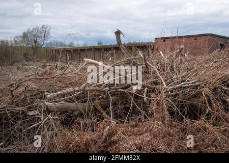 View of an old WW2 rifle range at Craigs Moss, Dumfries, Scotland, with felled trees in the foreground. Stock Photo