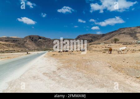 Cliffs at Wadi Dharbat near Salalah during the dry season, Oman. Stock Photo