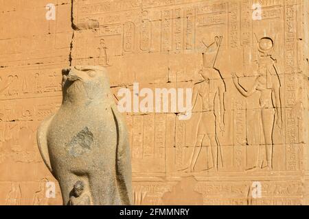 Statue of Horus in courtyard of Temple of Edfu with Hieroglyphics on wall in background, Edfu, Egypt Stock Photo