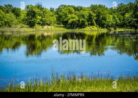 A beautiful lake park in Hagerman Wildlife Refuge, Texas Stock Photo