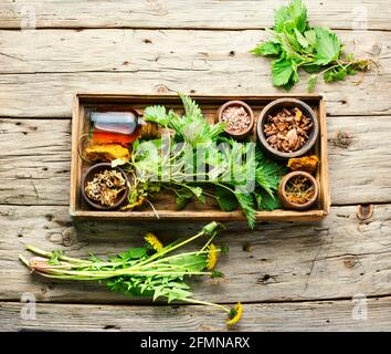 Set of fresh and dry healing herbs and medicinal plants.Healing herbs in a wooden box.Top view Stock Photo