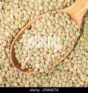 top view of whole large green lentils in wooden spoon closeup Stock Photo