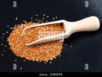 wooden scoop on pile of chumiza siberian millet seeds on black plate Stock Photo
